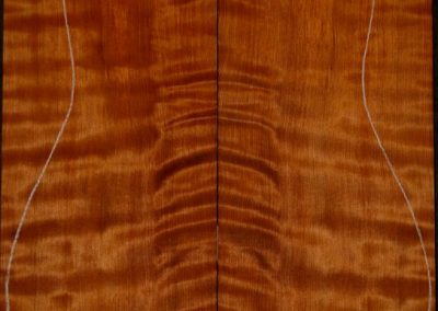 Red Cedar Curly