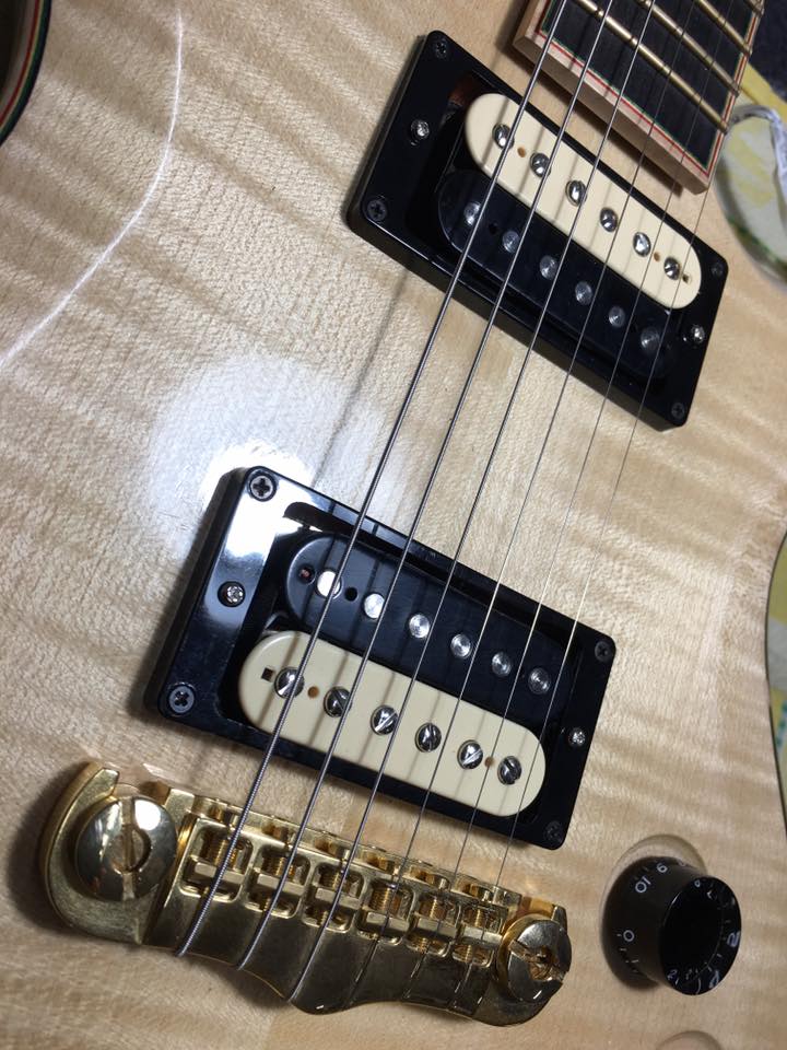 Guitar Madness Railbuckers Set Humbucker Pickup Zebra Con Guide Cromate – Chitarra Elettrica - Foto 2